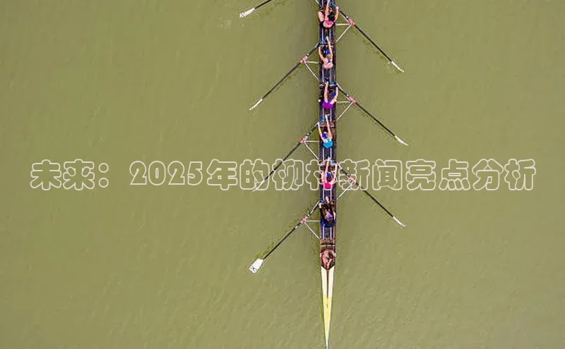 未来：2025年的柳林新闻亮点分析
