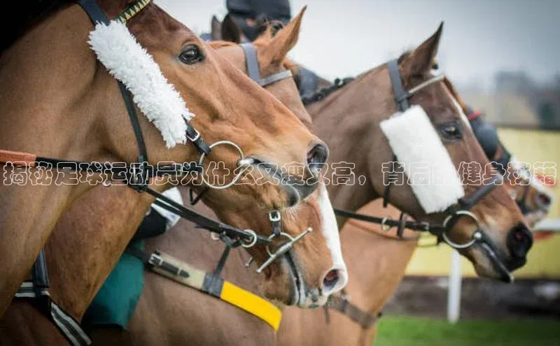 悟空体育网页登陆入口京东揭秘足球运动员为什么又瘦又高，背后的健身秘籍
