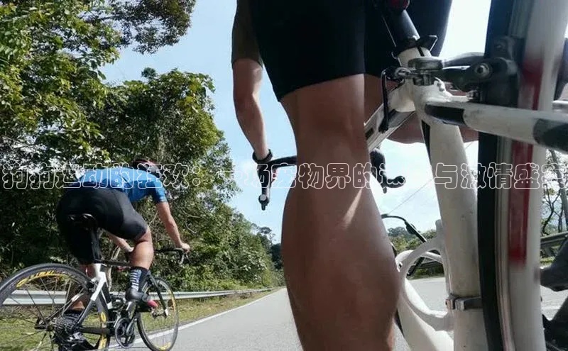 悟空体育app官网下载安卓版壹网壹创狗狗运动的狂欢：一场宠物界的速度与激情盛宴