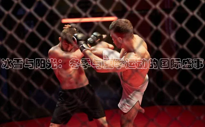 冰雪与阳光：冬季与夏季运动的国际盛事