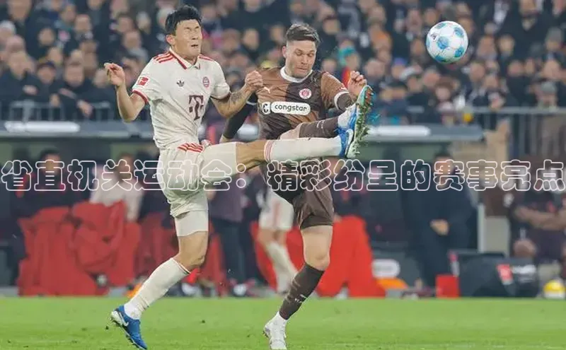 省直机关运动会：精彩纷呈的赛事亮点