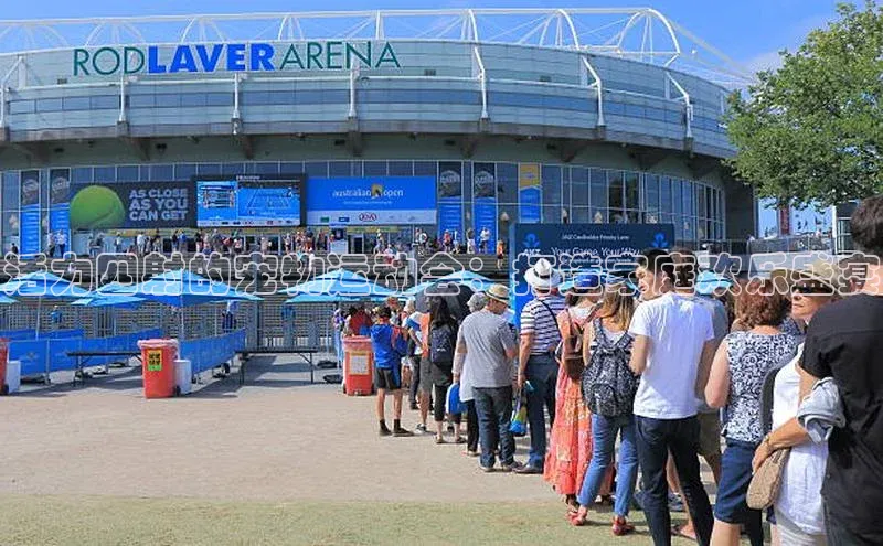 活力四射的宠物运动会：打造家庭欢乐盛宴