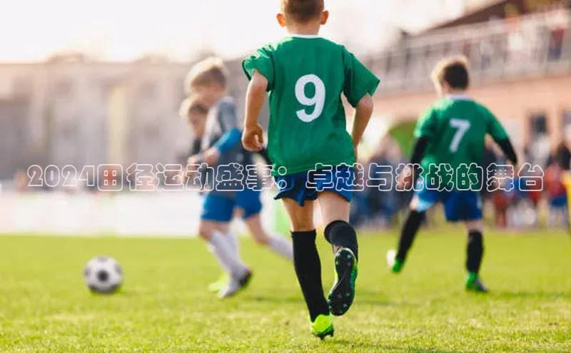 2024田径运动盛事：卓越与挑战的舞台