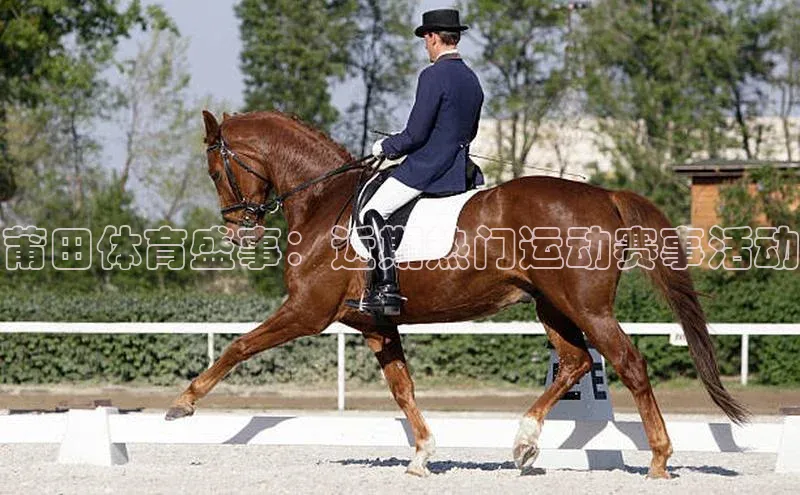 莆田体育盛事：近期热门运动赛事活动