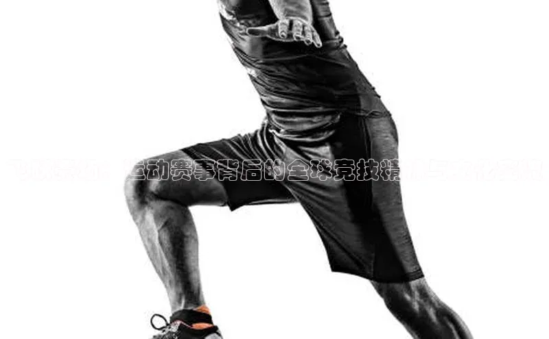 飞跃赛场：运动赛事背后的全球竞技精神与文化交流