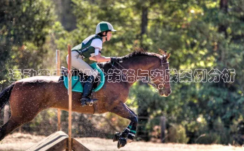 运动赛事VI设计策略与实践案例分析