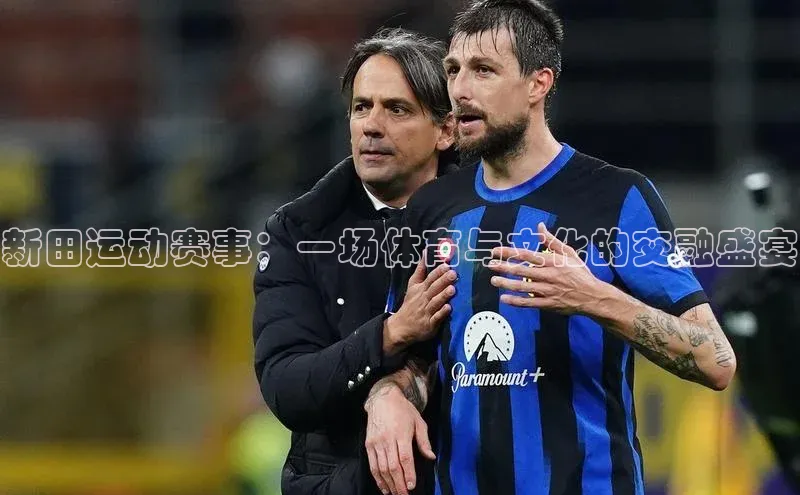 新田运动赛事：一场体育与文化的交融盛宴