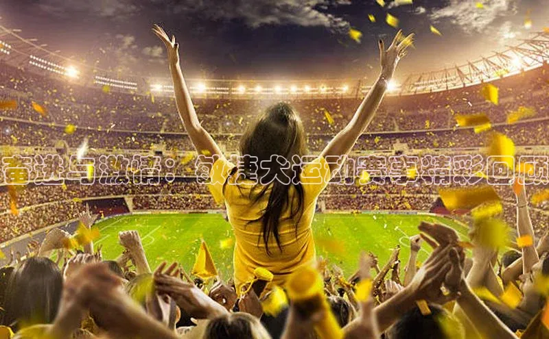 奋进与激情：敏捷犬运动赛事精彩回顾