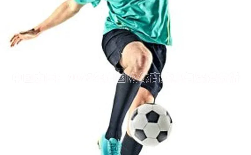 中国力量：2023年度国内体育盛事与深度分析