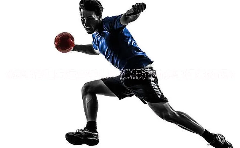 《赛事管理与运营手册：详解运动赛事相关知识》