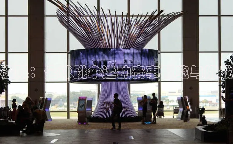 极限：全球跳伞运动赛事概览与挑战