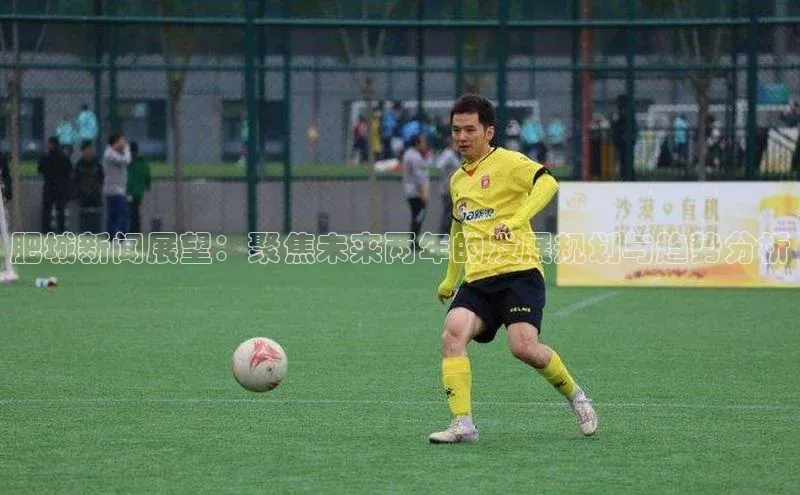 肥城新闻展望：聚焦未来两年的发展规划与趋势分析