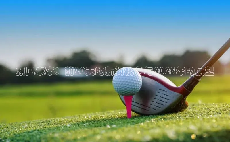 预见未来：前20天的新闻视角与2025年的展望