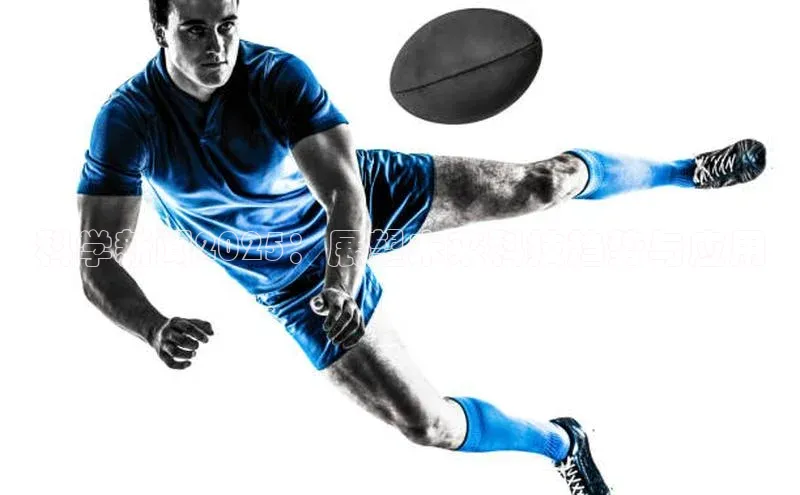 悟空体育app官方正版下载链接